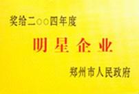 中国明星企业